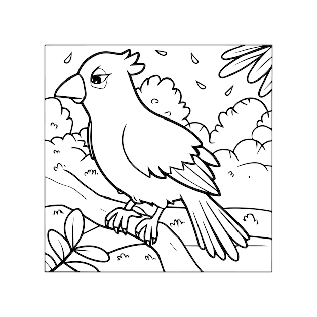 Páginas para colorear pájaros para un libro para colorear
