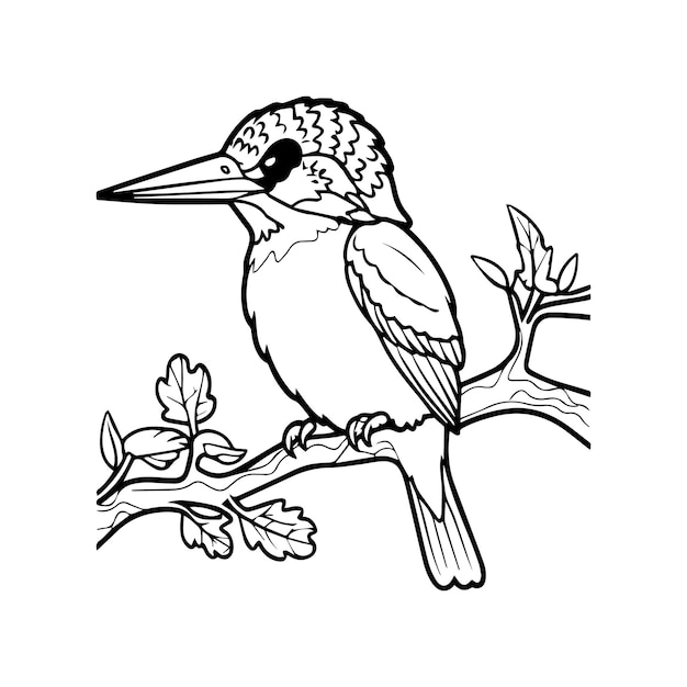 Páginas para colorear pájaros para un libro para colorear