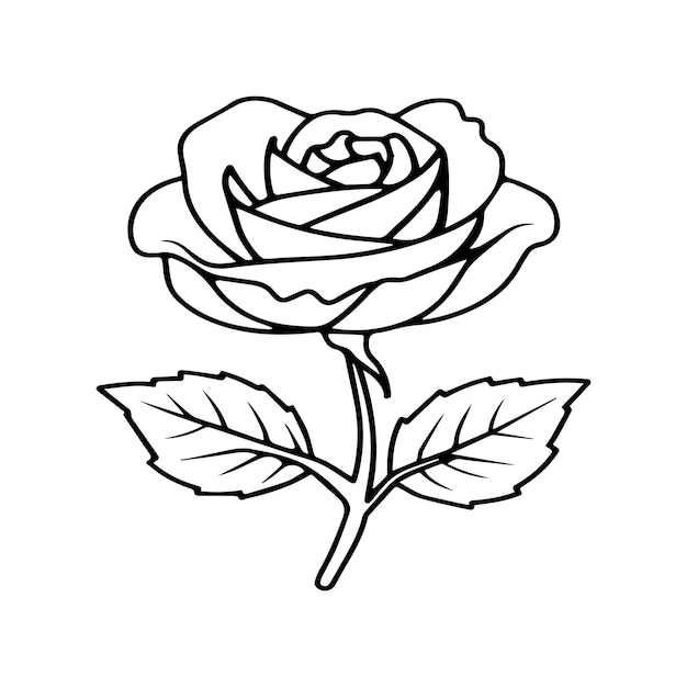 Páginas para colorear Vector de contorno de la flor de la rosa