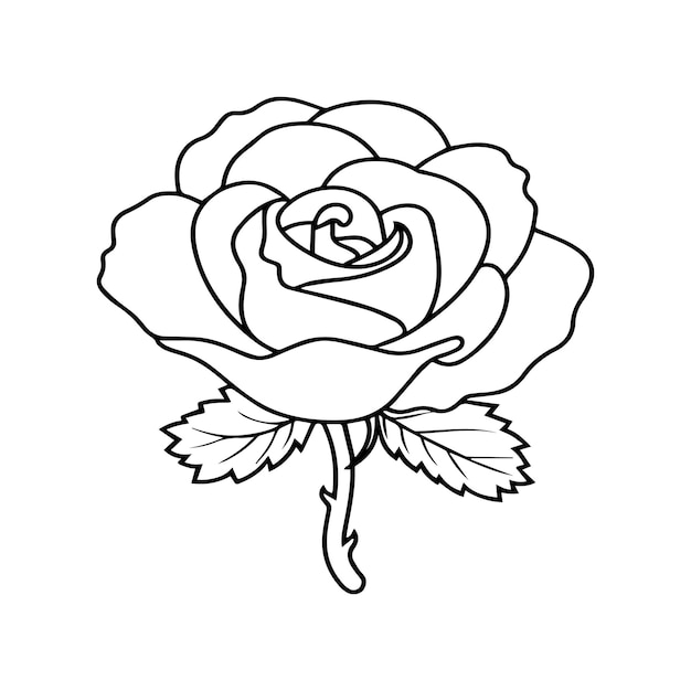 Páginas para colorear Vector de contorno de la flor de la rosa
