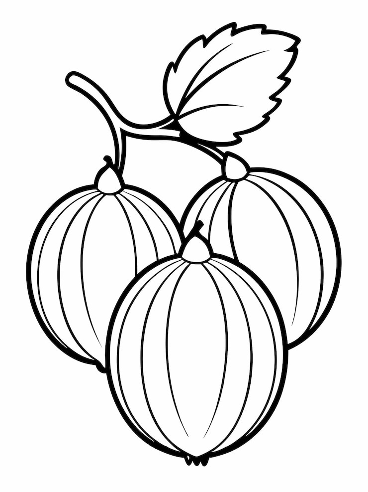 Vector páginas de libros de colorear frutas de grosella para niños y adultos con diseño vectorial