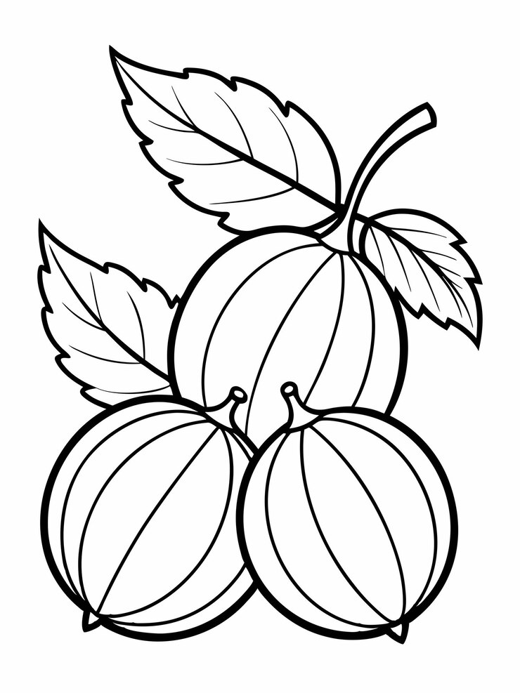 Vector páginas de libros de colorear frutas de grosella para niños y adultos con diseño vectorial