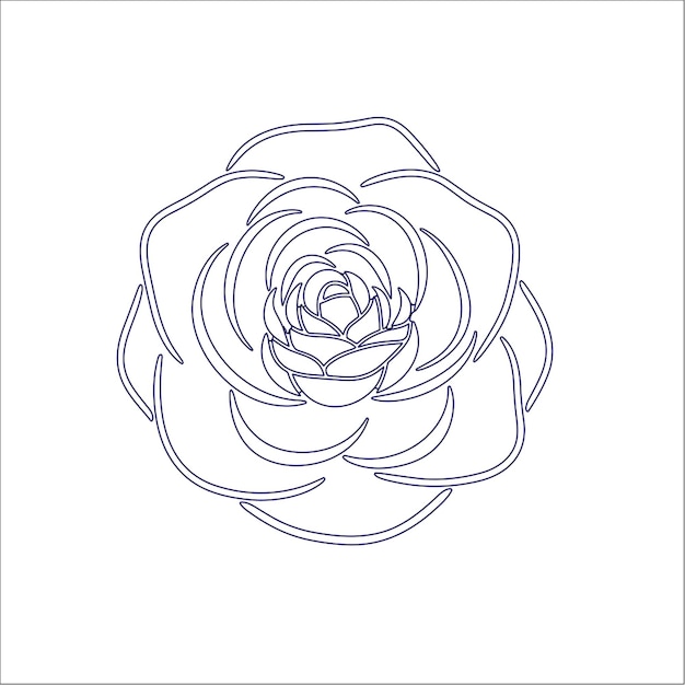 Páginas de rosas para adultos imprimibles arte para adultos contra el estrés