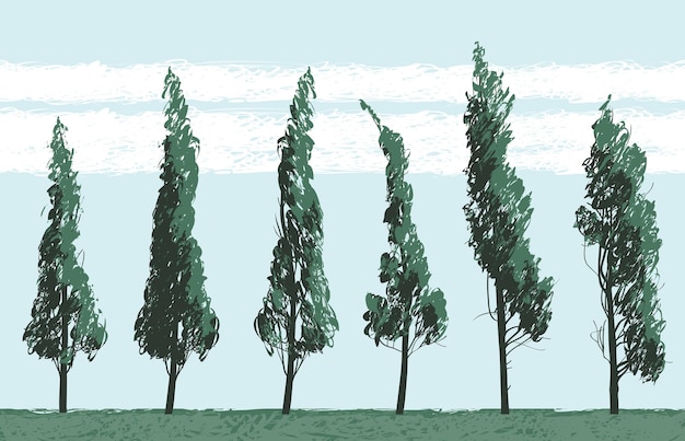 paisaje con árboles
