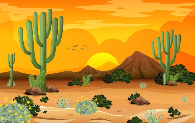 Paisaje de bosque desértico en la escena del atardecer con muchos cactus