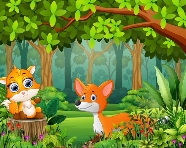 Paisaje bosque de dibujos animados de verde en primavera con dos zorros.