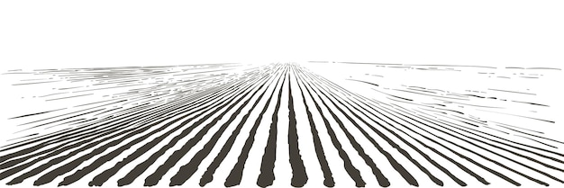 Vector paisaje de campo de granja vectorial patrón de surcos en un arado preparado para plantar cultivos ilustración de boceto de grabado realista vintage
