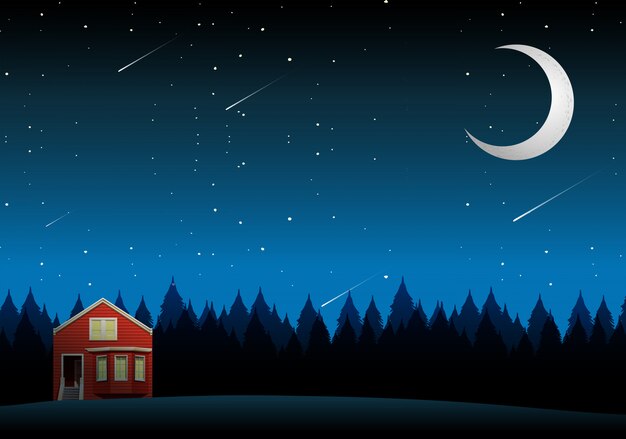 Vector un paisaje de casa rural en la noche