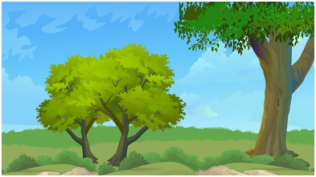 Vector paisaje de la escena de la naturaleza del bosque con un amplio cielo azul.