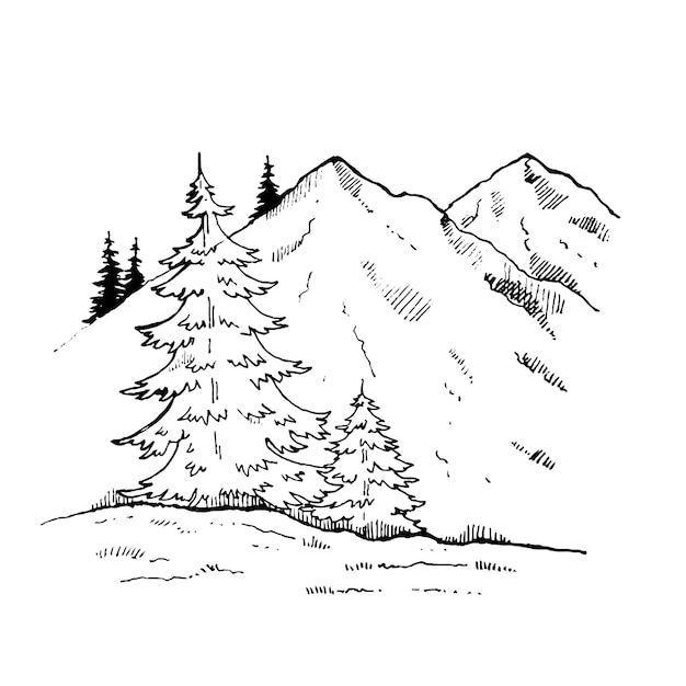 Paisaje en estilo de boceto minimalista La figura muestra árboles y montañas del bosque