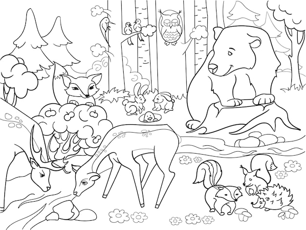 Paisaje forestal con animales para colorear vector para adultos