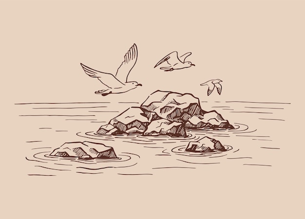 Paisaje mar rocas gaviotas ilustración dibujada a mano