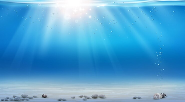 Vector paisaje marino realista con vista submarina burbujas de conchas marinas y rayos de luz solar ilustración vectorial