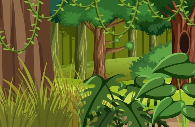 Vector paisaje de naturaleza de selva verde