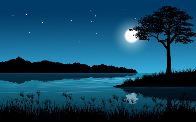 Vector paisaje nocturno de río y árbol