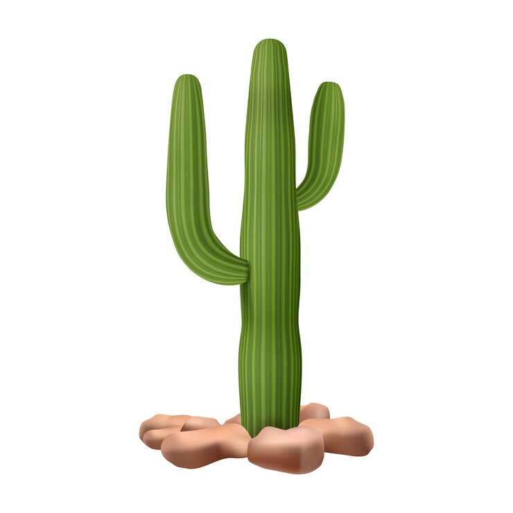 Vector paisaje del oeste salvaje y cactus botánicos