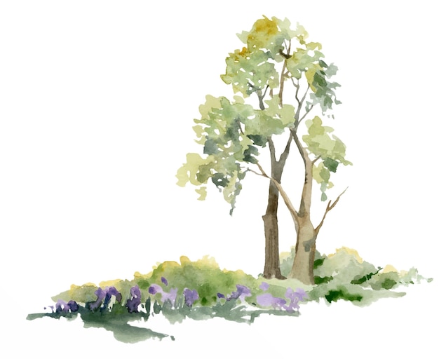 Paisaje paisaje de frondoso follaje verde árbol bosque del norte prado colinas arbustos flores púrpuras