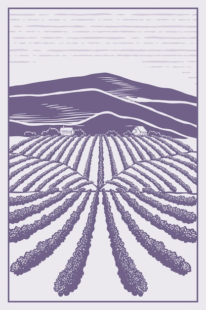 Vector paisaje de plantaciones en las laderas de las montañas ilustración dibujada a mano en estilo de grabado