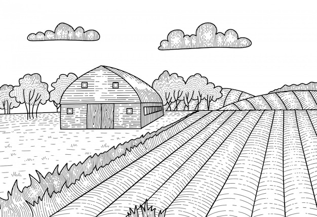 Paisaje rural en grabado estilo gráfico. Boceto dibujado a mano convertido a ilustración. Campo con granja, casa de granero.