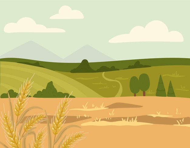 Vector paisaje con trigo vector paisaje de verano ilustración paisaje rural con campos de trigo