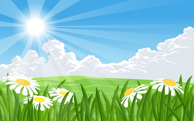 Vector paisaje de verano con flores