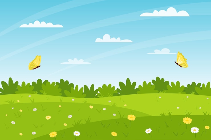 Vector paisaje de verano horizontal un campo de flores glade con margaritas arbustos mariposas volando