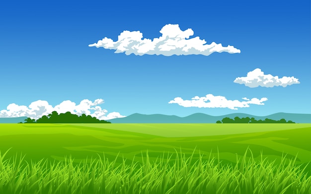 Paisaje de verano con pradera y nubes