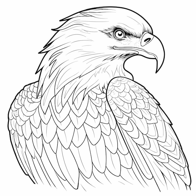 Vector pájaro águila aislado página para colorear para niños animales en blanco y negro ilustración de dibujos animados