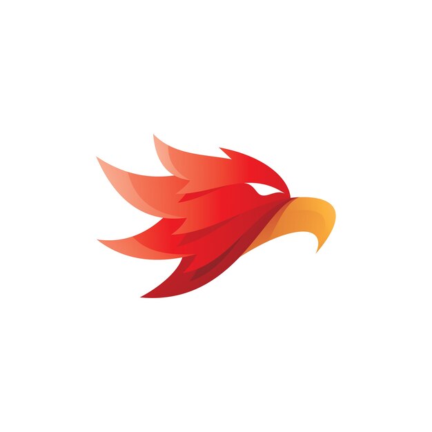Pájaro, águila, halcón, halcón, cabeza, mascota