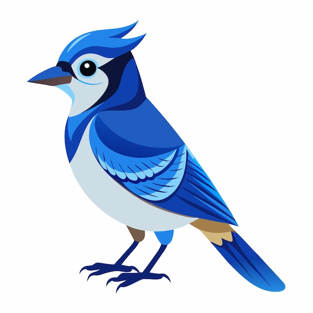 un pájaro azul y blanco con una cola azul y una cola amarilla