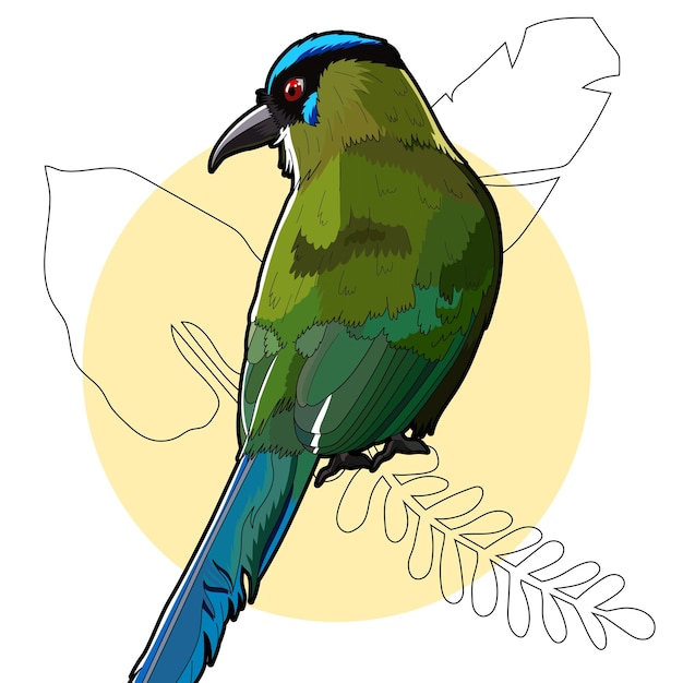 Pajaro Barranquero Momotus momota (en inglés)