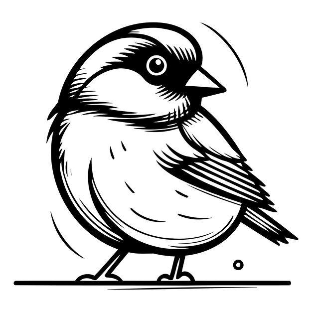 Vector el pájaro bullfinch aislado sobre un fondo blanco ilustración vectorial dibujada a mano