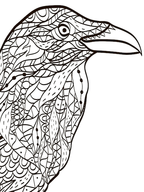 Pájaro cabeza cuervo libro para colorear para adultos vector