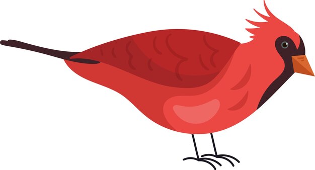 Vector pájaro cardenal del norte