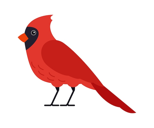 Pájaro cardenal rojo ilustración vectorial