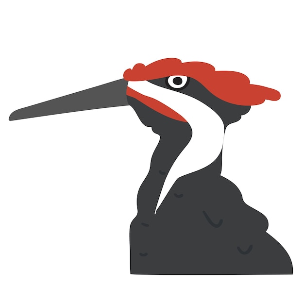 Pájaro carpintero. Pájaro. Diseño gráfico vectorial plano sobre fondo blanco.