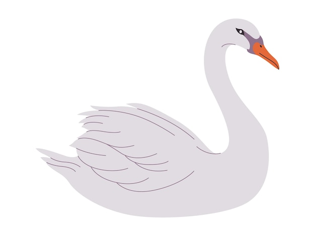 Pájaro cisne de color blanco mudo animal de la naturaleza silvestre tiene pico y cuello largo con hermosa pluma