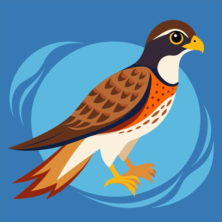 Vector un pájaro con una cola blanca y marrón está mirando hacia arriba