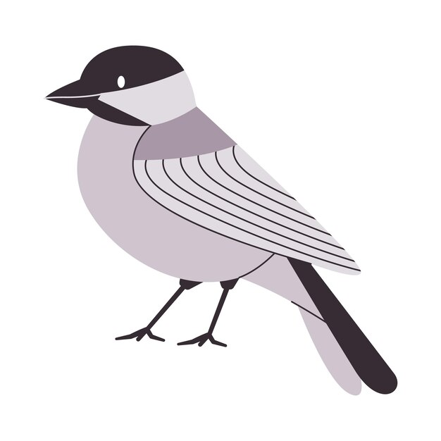 Vector pájaro de color negro y blanco chickadee con gorra negra pequeña especie hermosa y linda animal de la naturaleza silvestre pájaro cantor en américa del norte