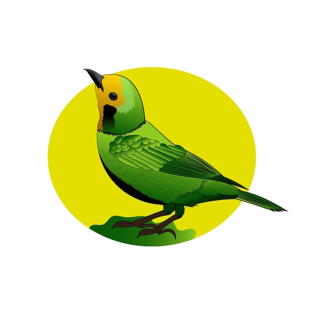 Un pájaro de colores con plumas amarillas y verdes