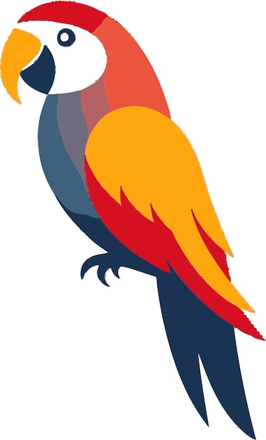 un pájaro colorido con una cola colorida y una parte superior colorida