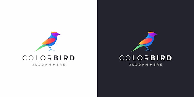 Pájaro colorido logo design premium