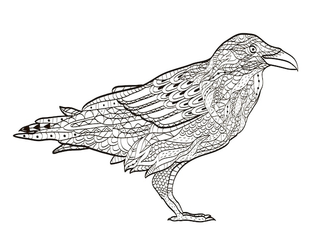 Pájaro cuervo libro para colorear para adultos vector