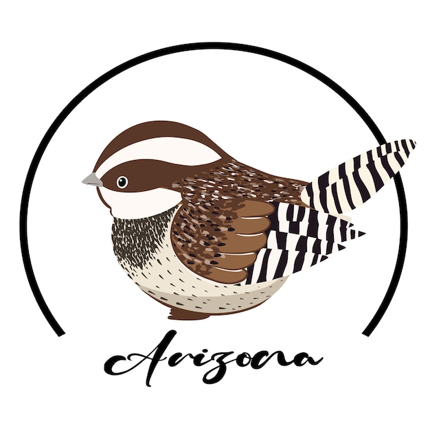 Pájaro de dibujos animados Cactus Wren diseñado con un estilo lindo y simple. Un pájaro de Arizona en un cactus.