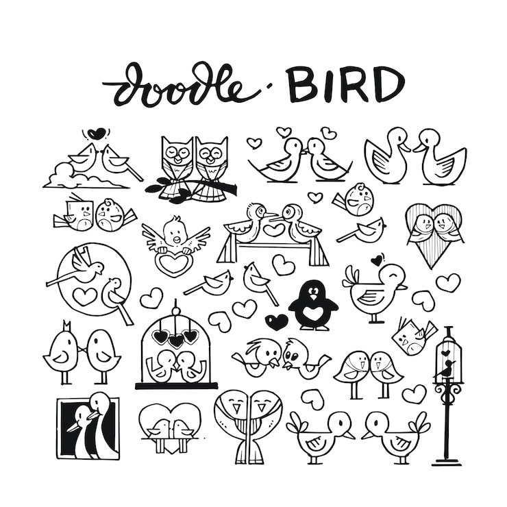 Pájaro doodle conjunto dibujado a mano