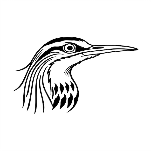 Pájaro exótico de alas con patrones de los bosques de América Central y del Sur