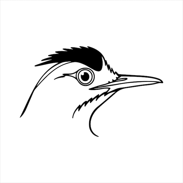 Pájaro exótico de cresta de las selvas tropicales de América Central y del Sur