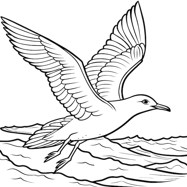 Vector pájaro gaviota libro de colorear ilustración de arte vectorial 6