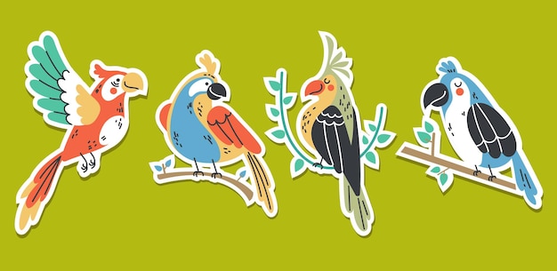 Pájaro loro animal tropical verano estilo pegatinas concepto conjunto diseño gráfico vector ilustración