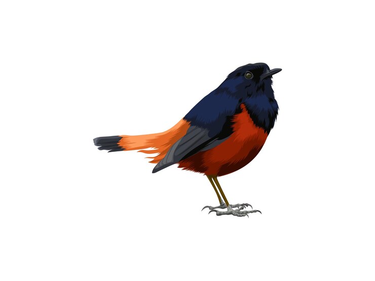 Vector pájaro marrón y negro feliz